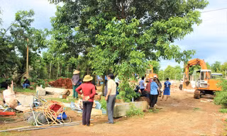 Đang cưỡng chế 64 công trình trái phép trên đất cà phê ở Đắk Lắk