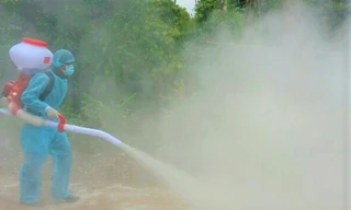 Cán bộ thú y phun thuốc khử trùng khu vực xuất hiện ổ dịch tả lợn châu Phi. Ảnh minh họa