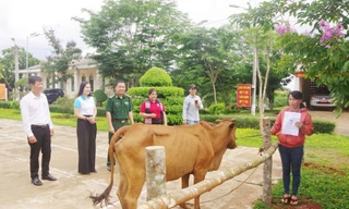 Đồng hành cùng phụ nữ biên cương, giúp 1.324 hộ dân Đắk Nông thoát nghèo 