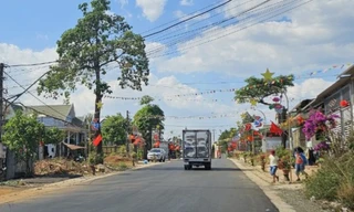 Loạt phương tiện vận tải ở Đắk Nông bị thu hồi phù hiệu