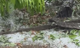 Mưa xối xả kèm giông tố sau nắng kỷ lục, Đắk Lắk thiệt hại 191 tỷ đồng