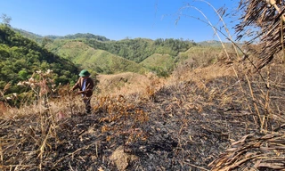 Đốt rừng phòng hộ chiếm đất, bị buộc nộp lại số lợi bất hợp pháp gần... 3.000 đồng