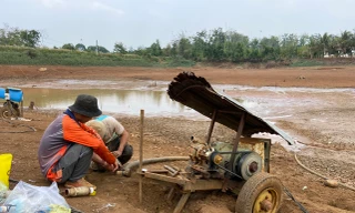 Ao hồ trơ đáy, nông dân Đắk Nông vét từng giọt nước cứu cây