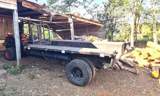 Vụ hàng trăm cây rừng bị cưa hạ: 'Đất biên phòng quản lý không phải ai cũng vào được'