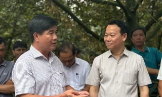 Nói thẳng sự phập phù của sầu riêng Việt Nam