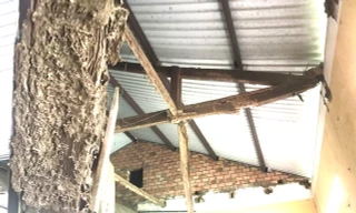 Trần nhà lớp học bất ngờ đổ sập, lộ xà gồ mục nhũn