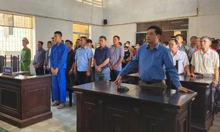 Nhiều cán bộ lĩnh án trong vụ phá rừng lớn nhất Đắk Lắk