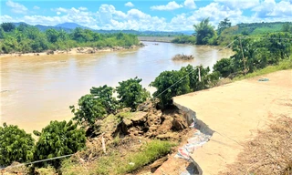 Nguyên nhân sông Krông Nô ‘ngoặm’ đường, 'nuốt' trên 45ha đất