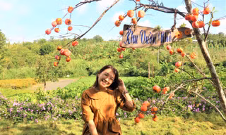 Bạn trẻ thích thú check in bên khu vườn ngập tràn sắc hoa giữa lòng Buôn Ma Thuột