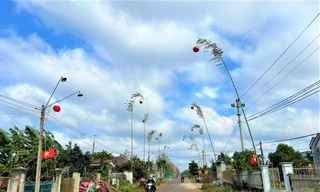 Cao nguyên Đắk Lắk dựng nêu đón Tết