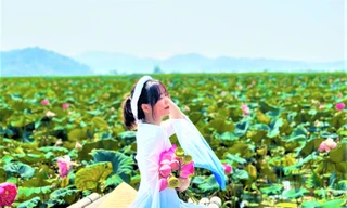 Ngắm hồ móng ngựa phủ đầy sen hồng dưới chân núi lửa Đắk Nông