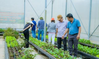 Farmstay gần 22ha ở Đắk Nông đang hoạt động bỗng dưng bị ‘khai tử’