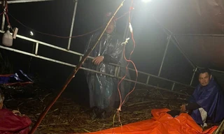 Phát hiện thi thể người phụ nữ trong vườn mía sau 3 tháng mất tích