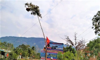 Nguy cơ phóng điện gây chết người khi dựng cây nêu ngày Tết