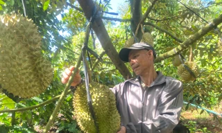 Phó Chủ tịch Đắk Lắk 'bắt bệnh' nông sản: Rớt giá thì kêu gọi, tăng lên lại 'bẻ cọc'