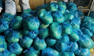 Mới nhất vụ gần 3.000 tấn giá đỗ 'ngậm' chất cấm