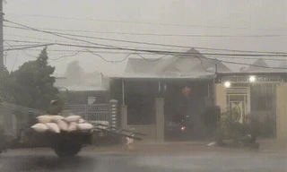 'Mưa vàng' giải nhiệt nhiều vùng nắng hạn ở Đắk Lắk, Đắk Nông