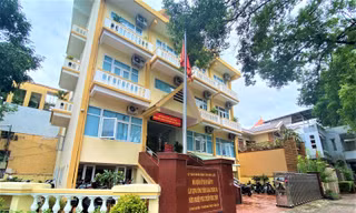 Vụ nghi giả hồ sơ thi chứng chỉ hành nghề: Phó Giám đốc ban lên tiếng 