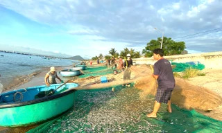 Ngày mới nhộn nhịp ở làng chài trăm tuổi Đắk Lắk
