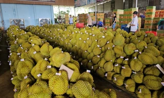 Kho bãi ‘mọc’ tràn lan ở thủ phủ sầu riêng: Chính quyền nói gì?