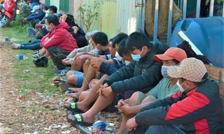 Phá sới gà ‘khủng’ trong rẫy cà phê có người cảnh giới