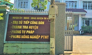 Trưởng phòng Tư pháp ở Đắk Nông xin lỗi, trả lại cây hoa giấy 'thấy héo nên mang về tưới'