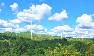 Một công ty điện gió xin phát điện với giá giảm 50%