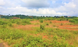 Nhiều doanh nghiệp thuê đất rồi… bỏ không