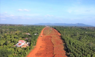 Đắk Lắk thu hồi gần 25 héc-ta rừng làm cao tốc Khánh Hoà – Buôn Ma Thuột