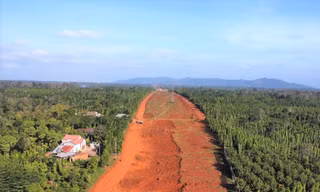 Đắk Lắk thu hồi gần 25 héc-ta rừng làm cao tốc Khánh Hoà – Buôn Ma Thuột