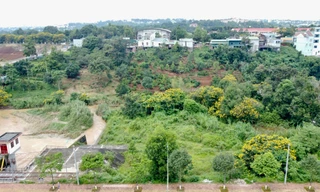 Thanh tra toàn diện việc quản lý, sử dụng gần 2.000 ha đất thành phố Gia Nghĩa