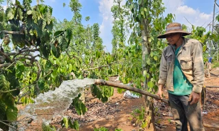 Nắng nóng vượt mốc lịch sử và những cảnh báo thiên tai bất thường tại Đắk Lắk