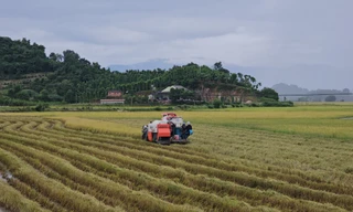 Một chủ tịch xã ở Đắk Lắk bị phê bình do để 'khủng hoảng thông tin' trên mạng