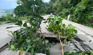 Đường dân sinh bất ngờ sụt lún 'hở hàm ếch' ở Đắk Lắk