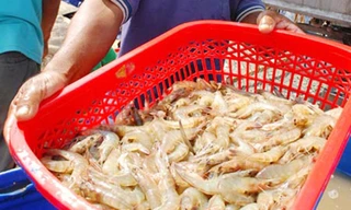 Muốn rút tên, Bộ NN&PTNT phải trình căn cứ