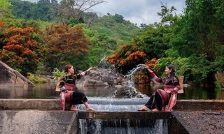 Hoa trang rừng nở rộ sau nhiều năm, suối Tà Má trở thành điểm "check-in" mới của giới trẻ