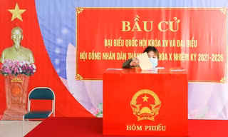 Sinh viên Đà Nẵng háo hức tham gia Ngày hội toàn dân, tự hào cảm giác trưởng thành