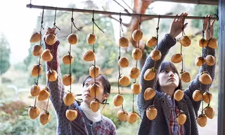 “Little Forest”: Bộ phim về những món ăn ngon và thông điệp chúng cất giấu của Ichiko