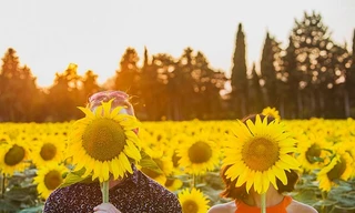 Cuộc thi viết Trà sữa cho tâm hồn: Đừng là hướng dương mãi ngóng về Mặt Trời