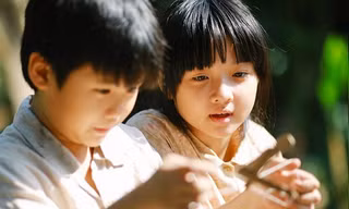 Bạn đọc sáng tác: Tôi cứu một chú chim sẻ nhỏ, xây đắp êm đềm kỷ niệm tuổi thơ