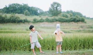 Cuộc thi viết Trà sữa cho tâm hồn: Thương đầu xanh những ngày còn chưa biết buồn