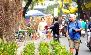 Rực rỡ sắc màu không gian chợ hoa Tết phố Hàng Lược