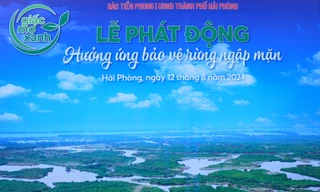 Thông điệp 'Giấc mơ xanh' bên lề Giải Vô địch Golf Quốc gia 2024, Cúp VinFast – Hải Phòng