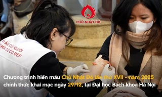 Chủ Nhật Đỏ: Sứ mệnh gieo yêu thương - trao sự sống