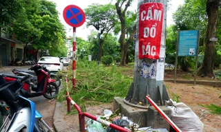 Cảnh nhếch nhác xuống cấp, phế thải bủa vây ở vườn hoa giữa Thủ đô 