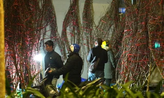 Chợ hoa Lạc Long Quân tấp nập kẻ bán người mua tận nửa đêm