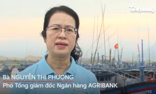 Năm thứ 10 Agribank đồng hành cùng Tiền Phong Marathon
