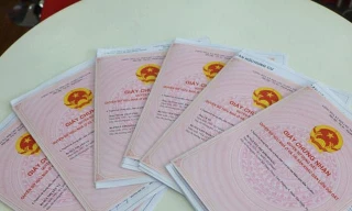 Bình Phước: Hàng lãnh đạo, cán bộ huyện lĩnh án vì cấp 8 'sổ đỏ' trùng cho kẻ lừa đảo