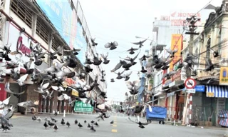 Nhiều chợ lớn ở Bình Dương vẫn ‘cửa đóng then cài’