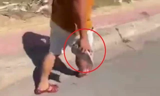 Điều chuyển công tác một cán bộ CSGT vì có hành vi thiếu chuẩn mực